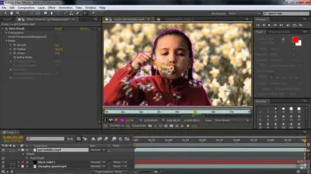 Learning Adobe After Effects CS6 Video Training