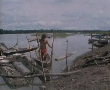 BBC Natural World - Amazon the Flooded Forest (1989)