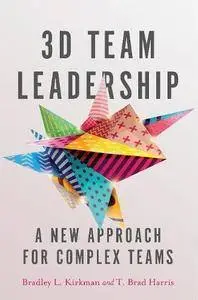 3D Team Leadership