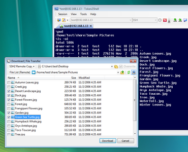 Token2Shell v5.1.0 For WINDOWS
