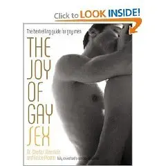 The Joy of Gay Sex