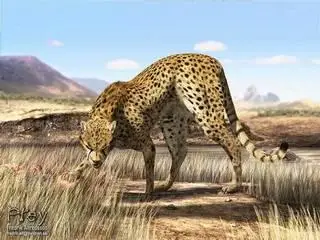 Lifelike canvas Gallery