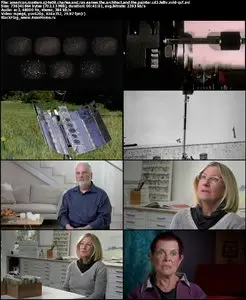 American Masters S24E08 "Charles and Ray Eames The Architect and the Painter"