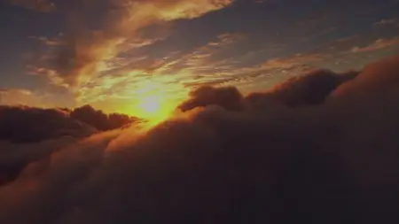 Virtual Trip - Utsukushi Wakusei: The Beautiful Planet (2010)