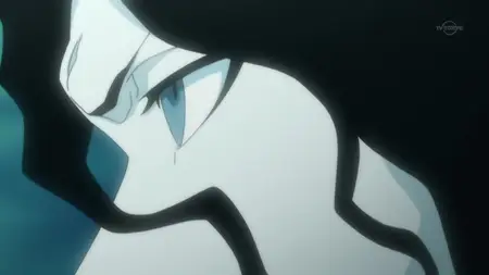 Bleach - 306