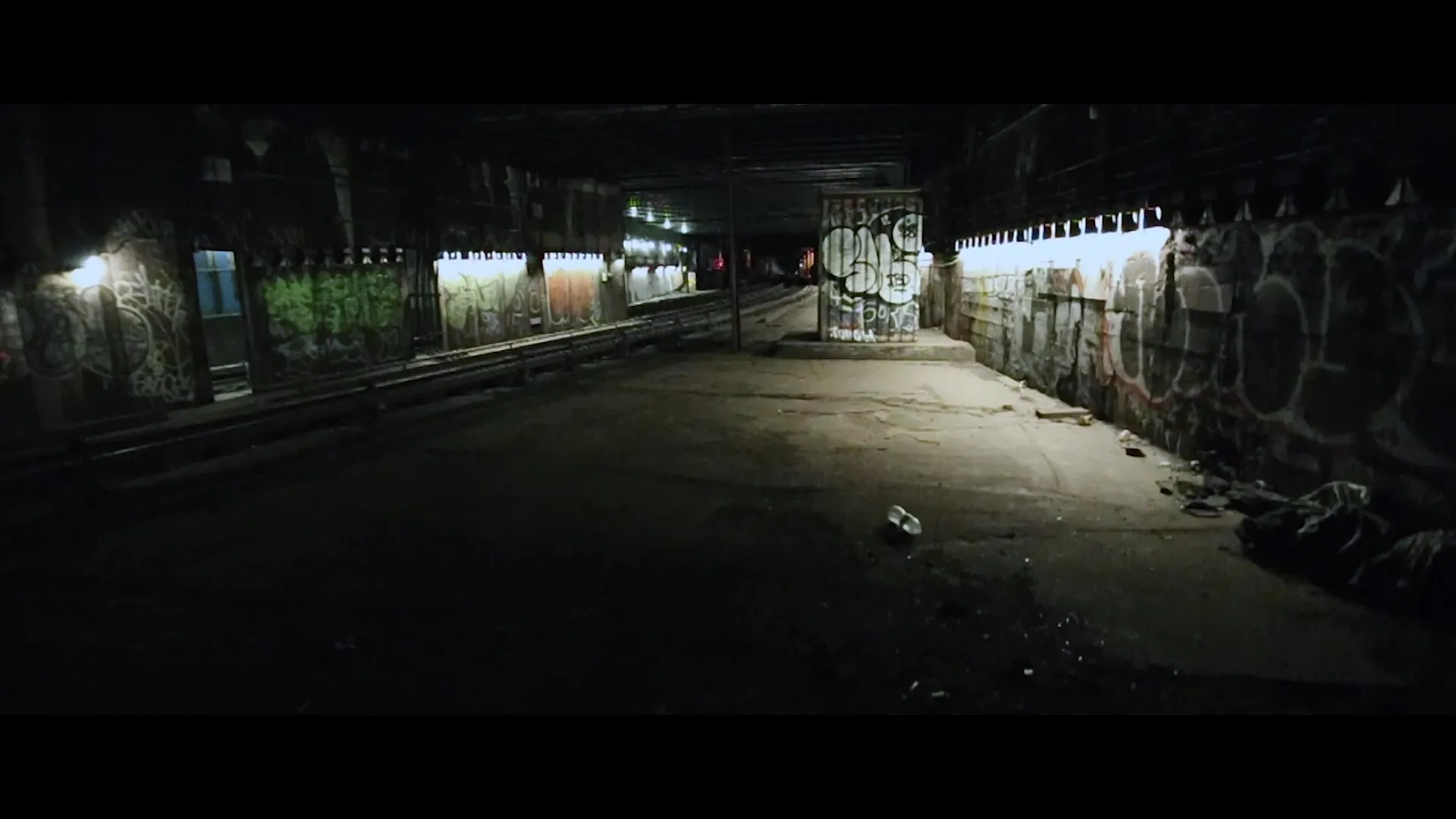 Social Animals (2018)