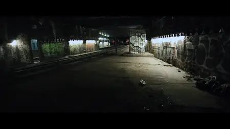 Social Animals (2018)