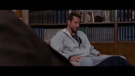 Silver Linings Playbook (2012)