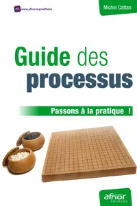 Michel Cattan, "Guide des processus: Passons à la pratique !"