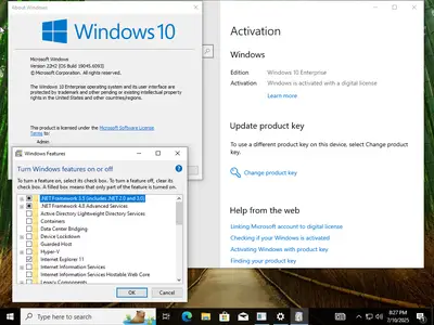 Windows 10 Enterprise 22H2 build 19045.6093 Preactivated Multilingual July 2025