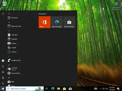 Windows 10 Enterprise 22H2 build 19045.6093 Preactivated Multilingual July 2025
