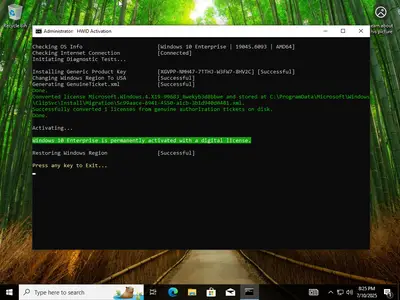 Windows 10 Enterprise 22H2 build 19045.6093 Preactivated Multilingual July 2025
