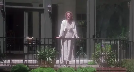 Fluke (1995)