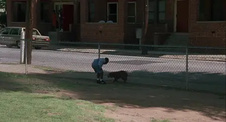 Fluke (1995)
