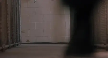 Fluke (1995)