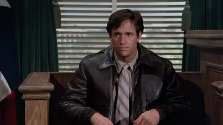 Airplane II: The Sequel (1982)