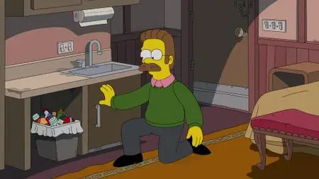 Die Simpsons S31E20