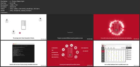 Learn Linux, Web And Wordpress Security With Bitninja