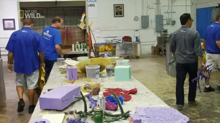 National Geographic - Fish Tank Kings: Secret Crystal Cave Fish Palace (2014)