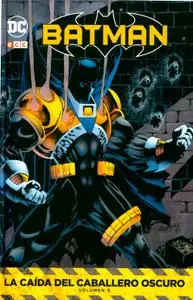 Batman. La Caída del Caballero Oscuro Tomos 2 & 3
