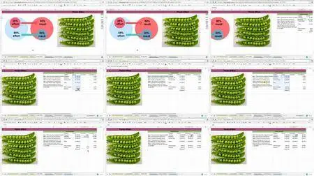 Balanced Scorecard: Master Your Data Driven Performance