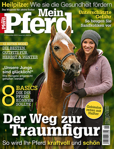 Mein Pferd Das Magazin für aktive Reiter November No 11 2013
