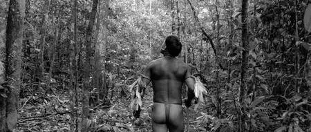 Embrace of the Serpent / El abrazo de la serpiente (2015)