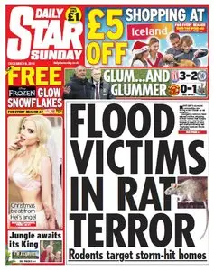 DAILY STAR SUNDAY - 8 December 2013