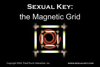 Sexual Key - The Magnetic Grid