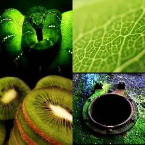 Green pack