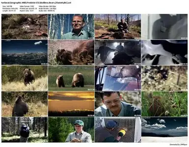 National Geographic - Predator CSI: Bodiless Bear