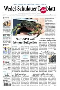 Wedel-Schulauer Tageblatt - 07. Januar 2020