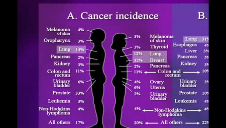 TTC VIDEO - The Human Body - How We Fail, How We Heal