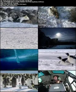David Attenborough Frozen Planet S01E05 UNCUT