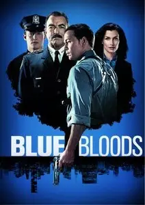 Blue Bloods (2010–2014)
