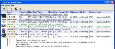 Auction Auto Bidder 6.1.608