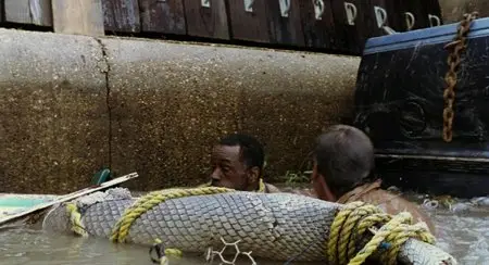 Beasts of the Southern Wild (2012) Limited