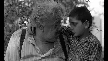 The Two of Us (1967) [The Criterion Collection #388 - OUT OF PRINT]