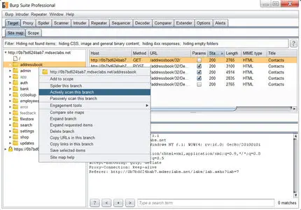 Burp Suite Professional Edition 1.6.09