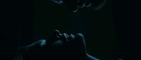 Faces in the Crowd (2011)