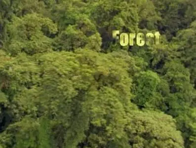 Прирожденные охотники. Диск 4