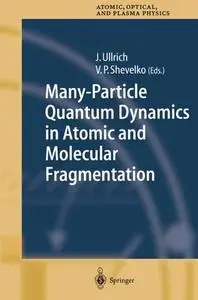 Many-Particle Quantum Dynamics in Atomic and Molecular Fragmentation (Repost)