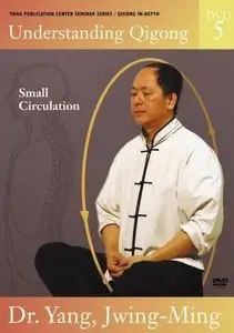 Understanding Qigong DVD 5: Small Circulation