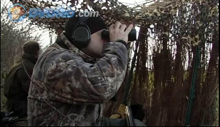 Chasses Modernes Du Migrateur Oies Et Canar