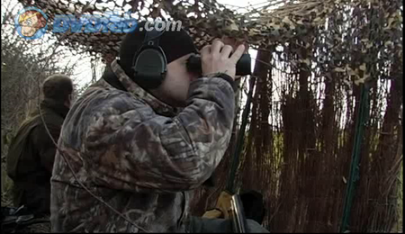 Chasses Modernes Du Migrateur Oies Et Canar