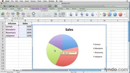 Excel for Mac 2011 Essential Training (Repost)