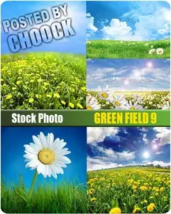 Green field 9 - Stock Photo