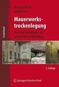 Mauerwerkstrockenlegung: Von den Grundlagen zur praktischen Anwendung
