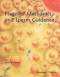 Flagellar Mechanics and Sperm Guidance