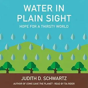 Water in Plain Sight: Hope for a Thirsty World [Audiobook]